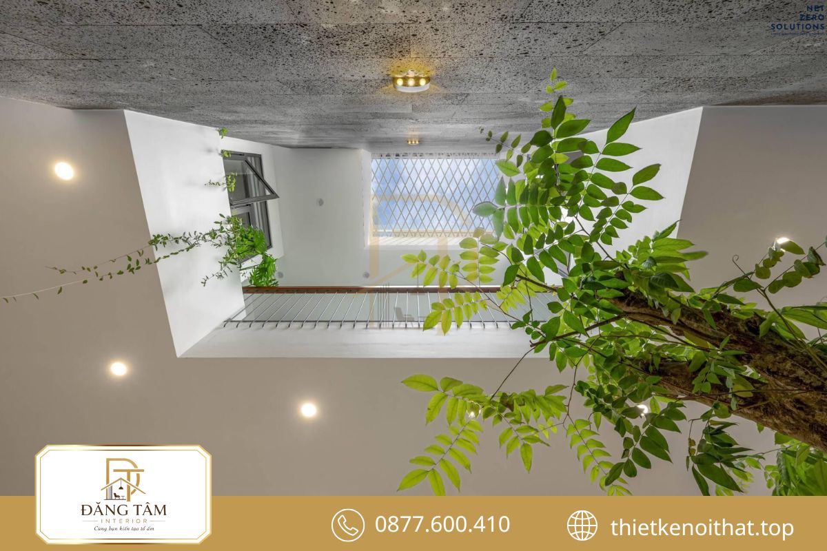 Thiết kế nội thất nhà ống 3m bố trí giếng trời đón sáng, lưu thông không khí